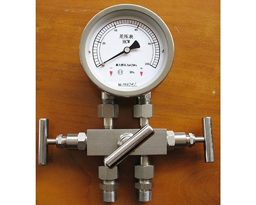 芜湖差压表带三阀组