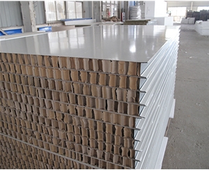 芜湖芜湖50厚1150型纸蜂窝夹芯板